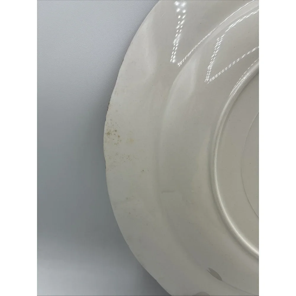 Vintage Bacharach Japan hand painted turkey plate 10.5
